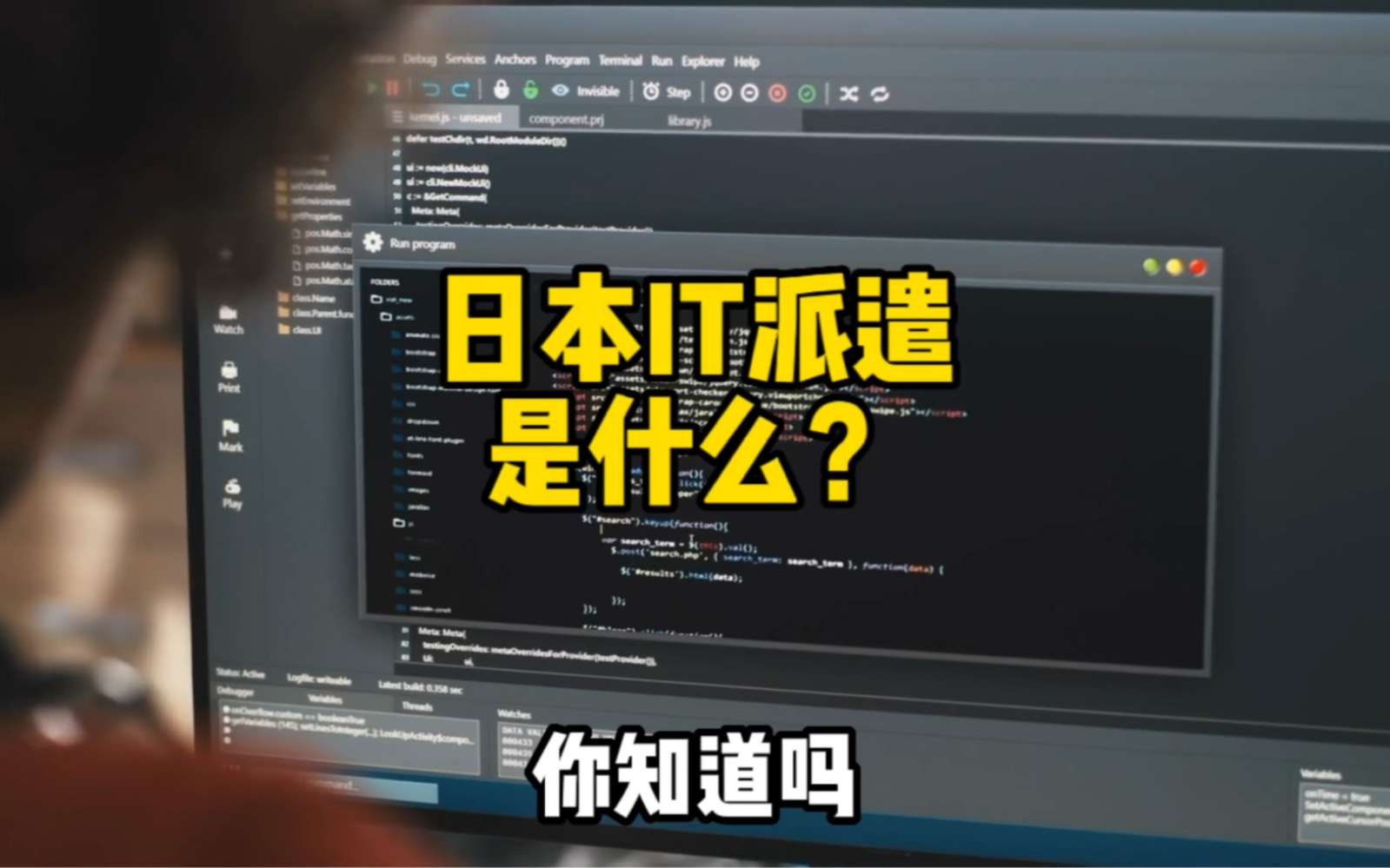 日本IT派遣是干什么的?哔哩哔哩bilibili