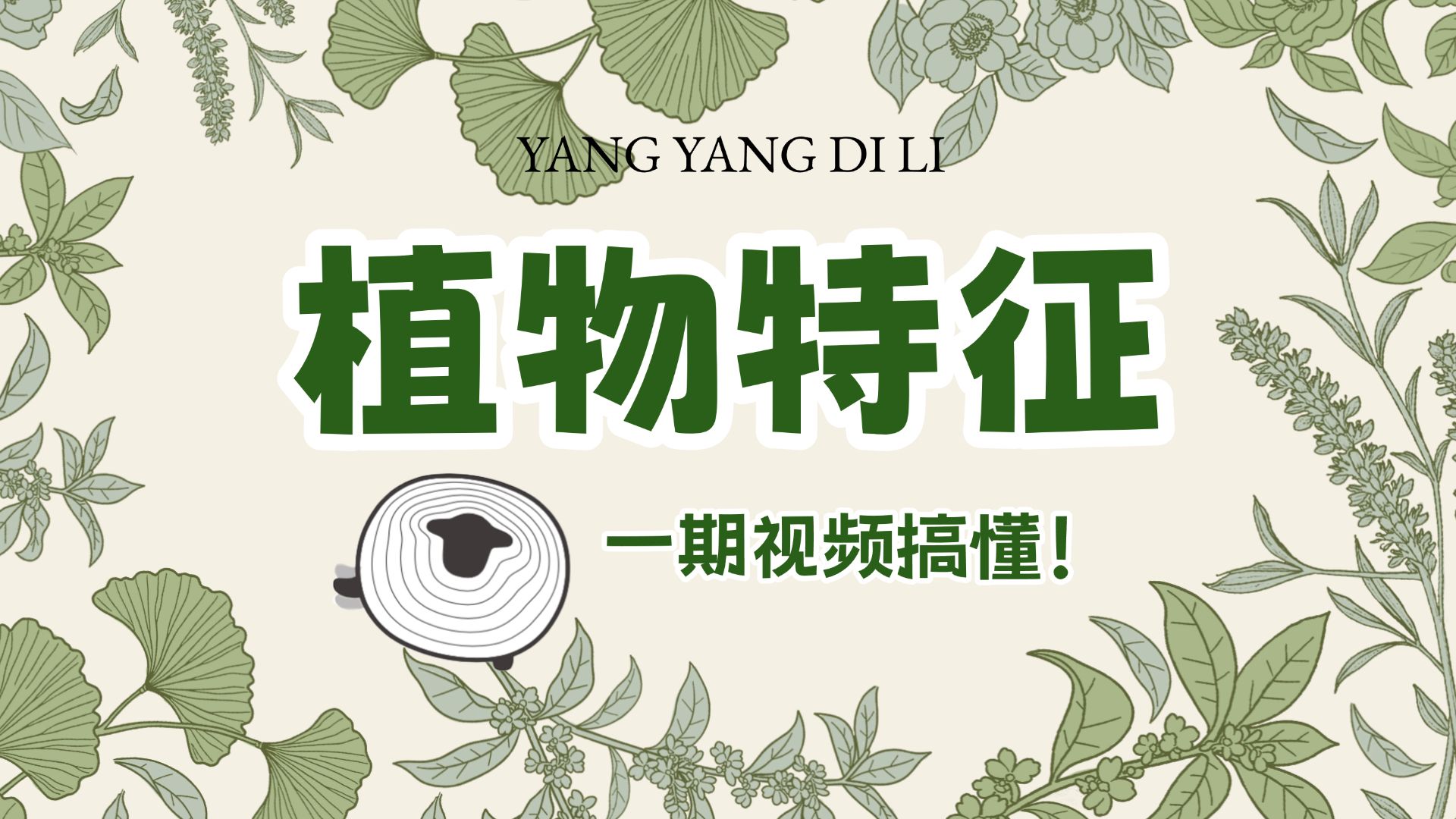 地理考试中的“植物特征”题，该如何应对？【羊羊地理 | 手绘动画139】