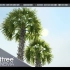 SpeedTree 9 制作棕榈树！