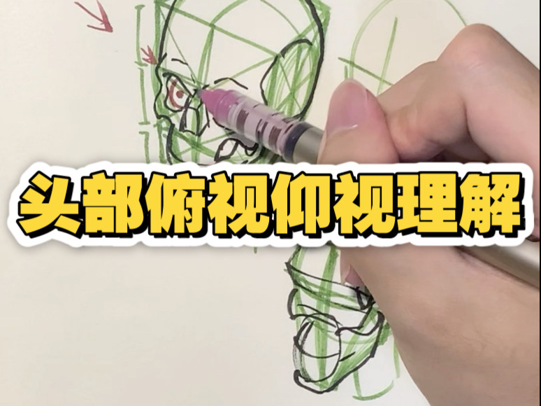 头部俯视仰视分析