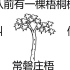 [假面骑士]从前有一棵梧桐树叫做“常磐庄梧”