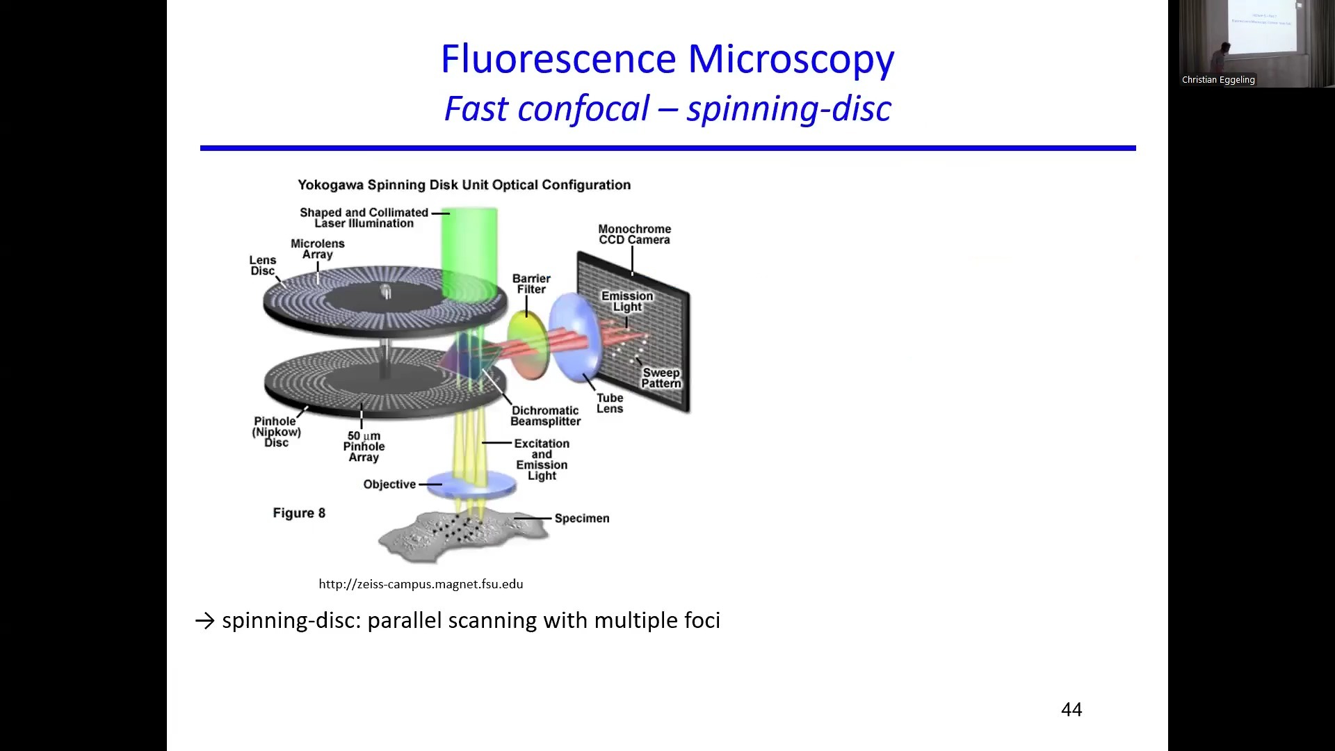 5_microscopySoSe2025_fluorescence2_eggeling_video1676692177