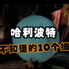 哈利波特里你不知道的10个细节 | 回忆满满 | 1080p