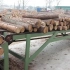 全自动现代化木材加工厂，一根圆木怎样变成木板的？