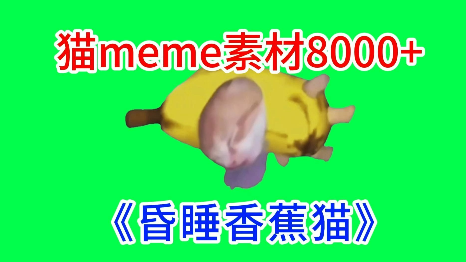 【睡觉流口水香蕉猫！】猫meme绿幕素材完整分享～，猫meme素材整合分享，合集分享！