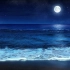 【白噪音】【学习向】【放松】超长8小时丨夜晚的海滩（月圆之夜&平静的海浪声）丨大自然实景