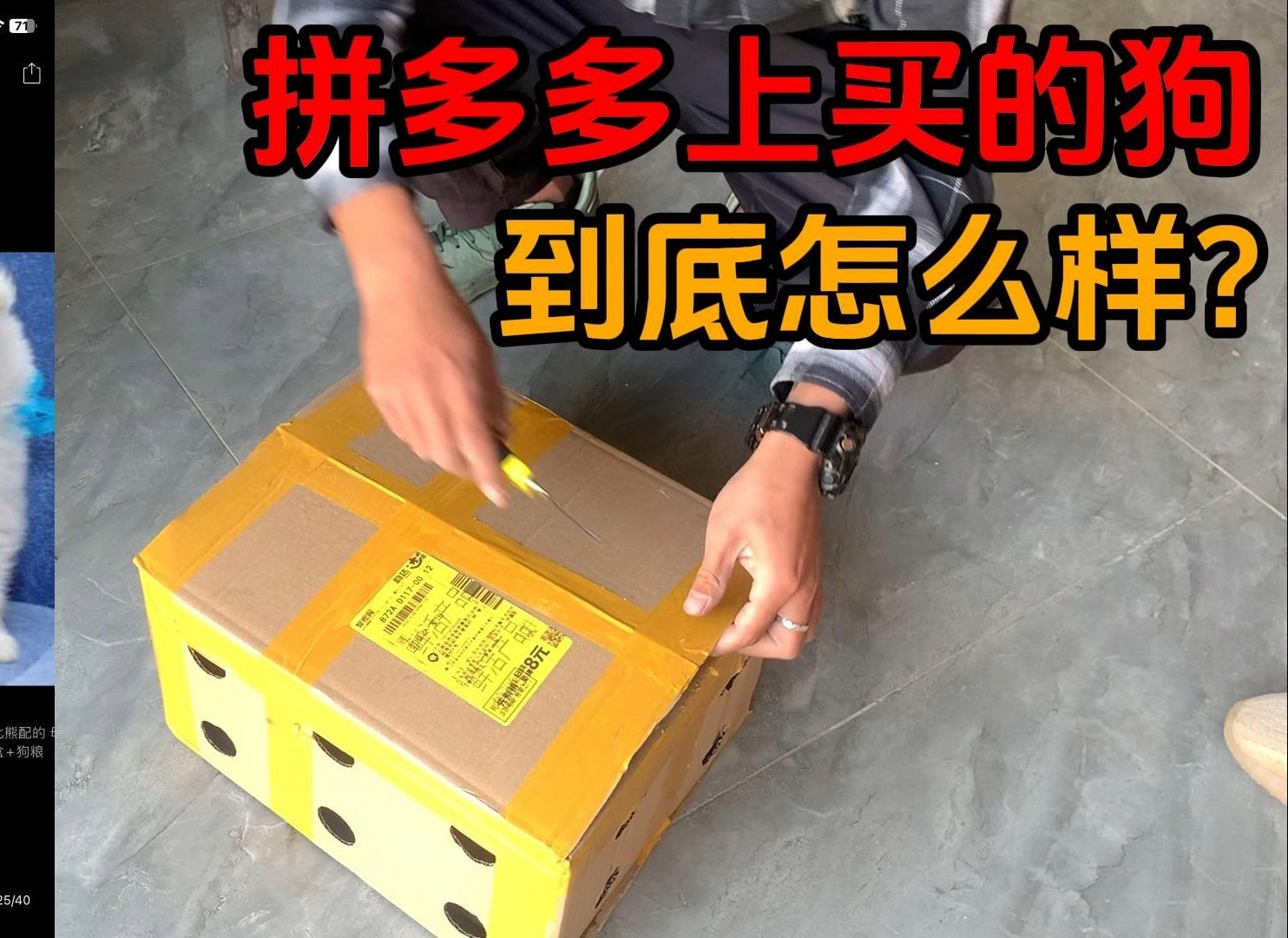 拼多多上买的狗到底怎么样呢？那就来个开箱视频吧！惊喜与意外!
