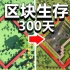 【爆肝】在一个区块生存300天后，会变成什么样！