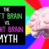 【TED科普】左脑和右脑哪个更厉害？（中英字幕）