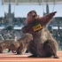 超逼真动物特效短片「土拨鼠奥运会」