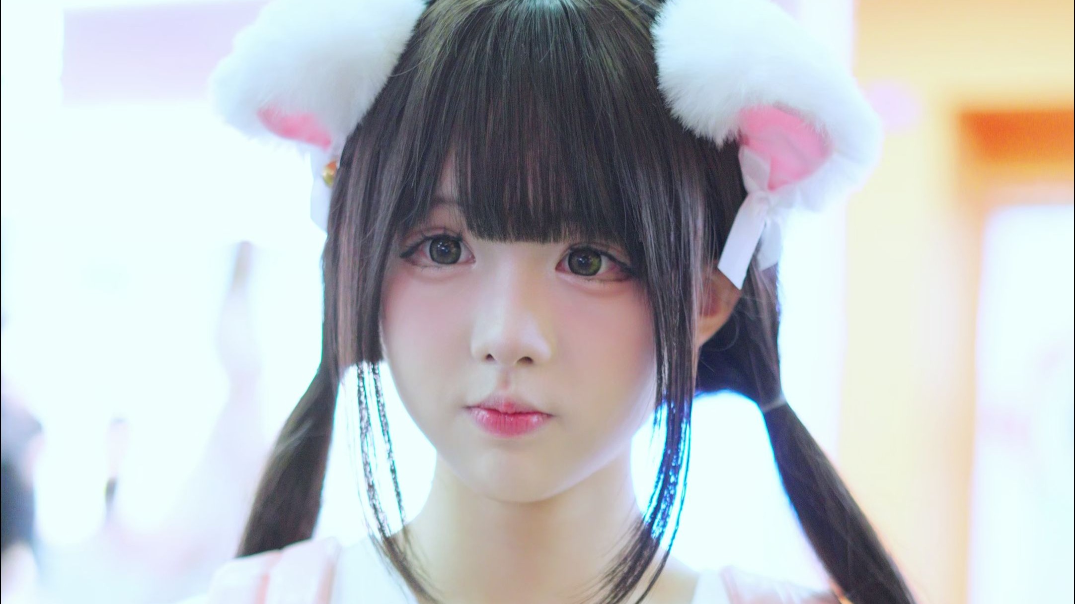 近距离实拍失眠熊