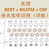 实战 BERT_BiLSTM_CRF模型做命名实体识别（处理数据训练）
