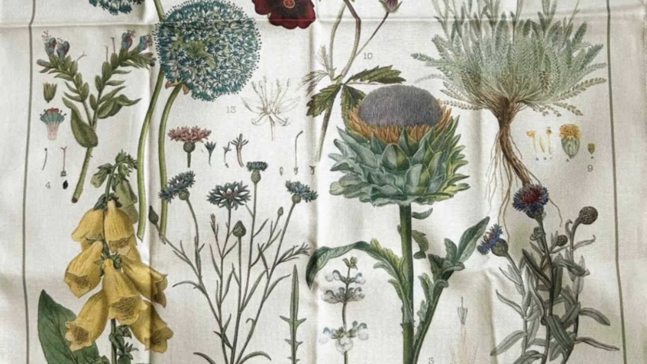 餐饮圣经补档 有毒系列 敌蜜 奶茶咖啡汉堡烘焙 酸奶自助 炸鸡店 破产合订本