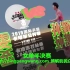 乒乓球 2019卡公赛半决赛刘诗雯vs孙颖莎