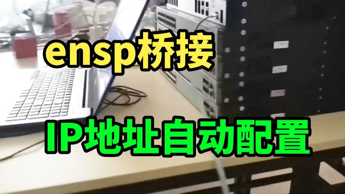 【真机实操】ensp桥接和ip地址自动配置（看真机操作演示）网络工程师