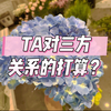 TA对于三方关系的打算？第一组：01:05、第二组：05:52、第三组