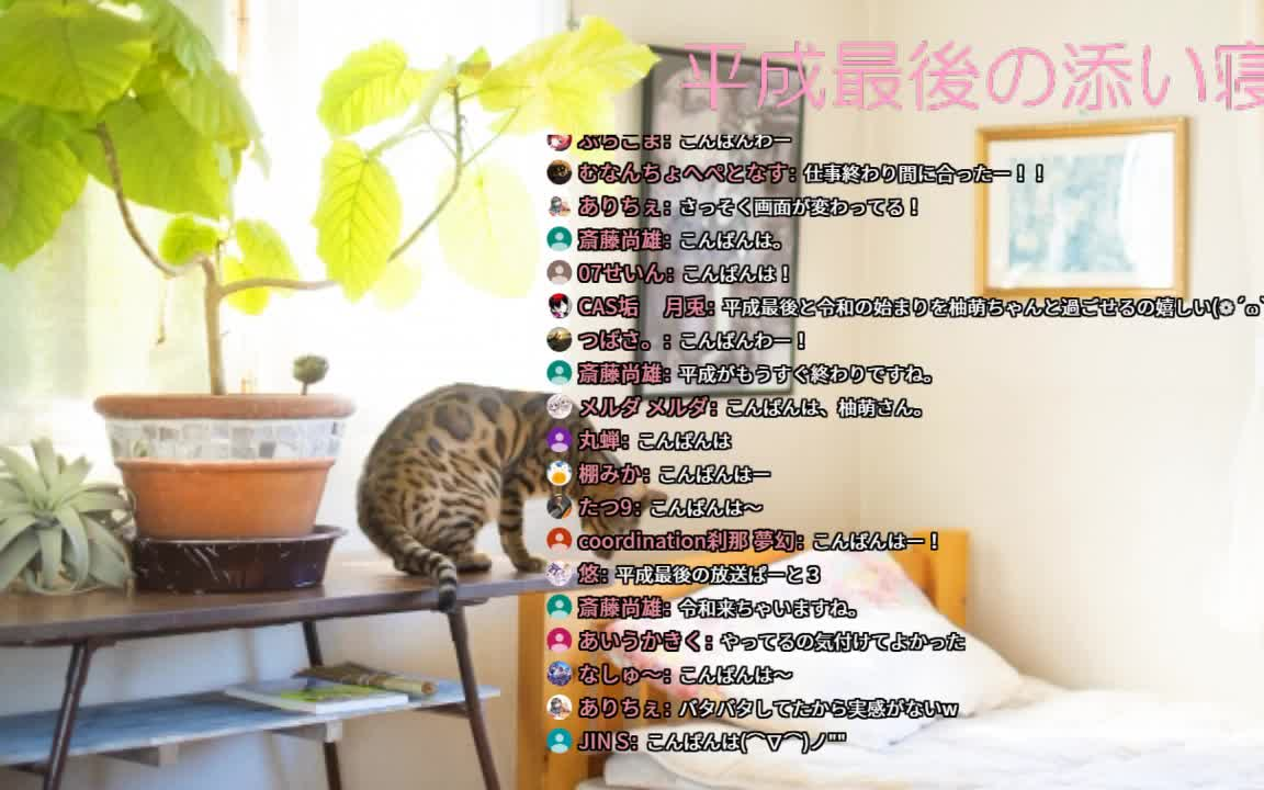 新宅ゆめyoutube 2019/4/30哔哩哔哩bilibili