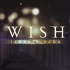 祈愿之旅主题曲 Wish Theme - MoonlightDestiny