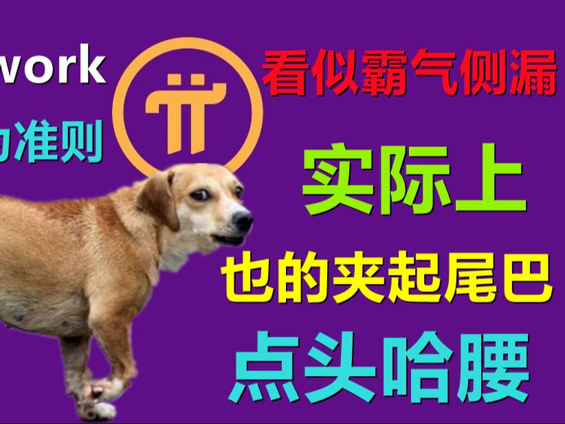 Pi Network社区行为准则，先锋是公民项目方是国王，一切解释权在于项目方，背后逻辑是社交链和白