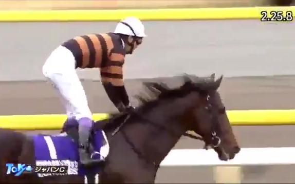 赛马2016年日本杯北部玄驹