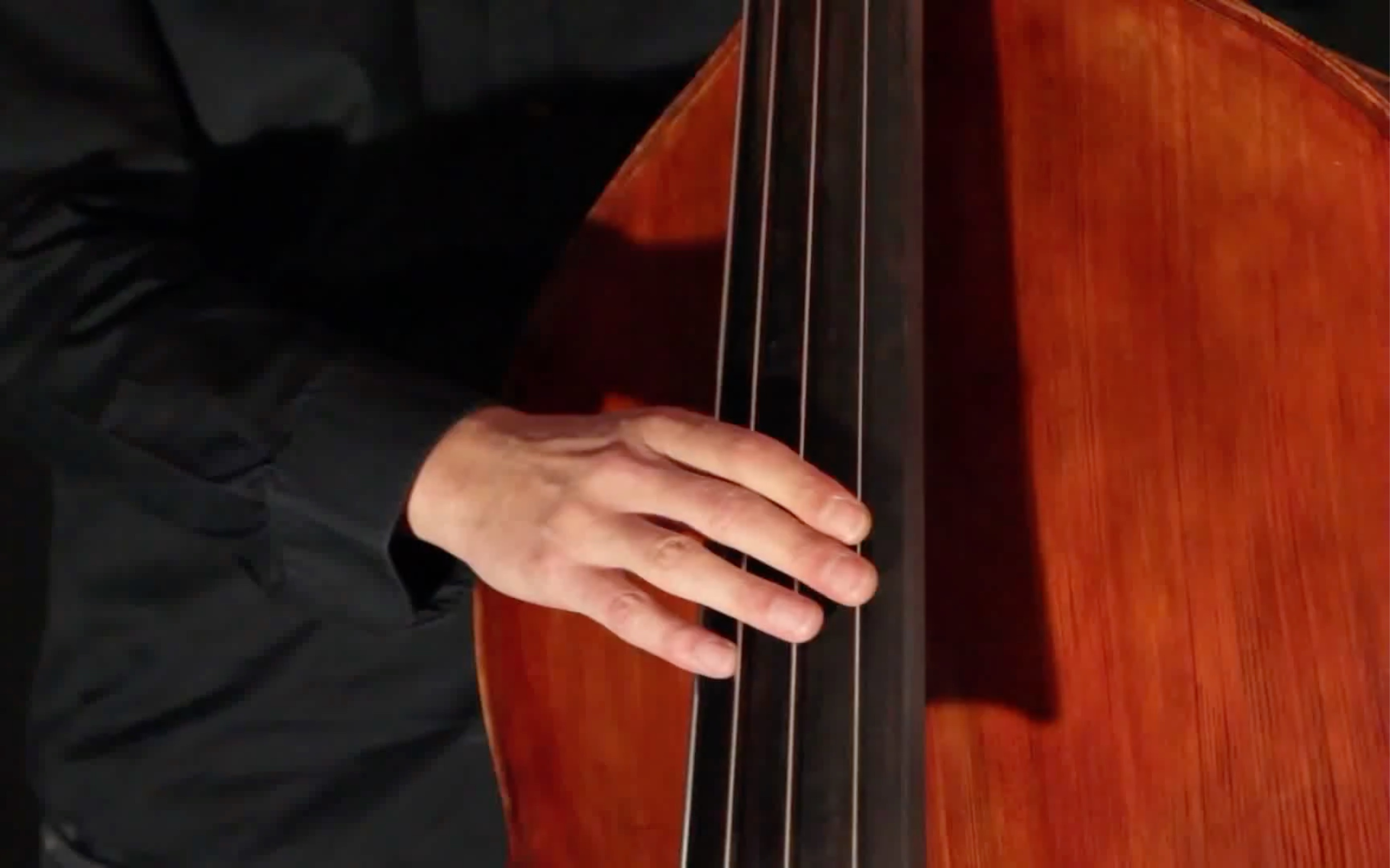 德国爵士贝斯Double Bass Solo-Vranjanka /// By Nenad Vasilic