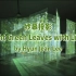 纱幕投影Light Green Leaves with Light-by Hyun Jean Lee