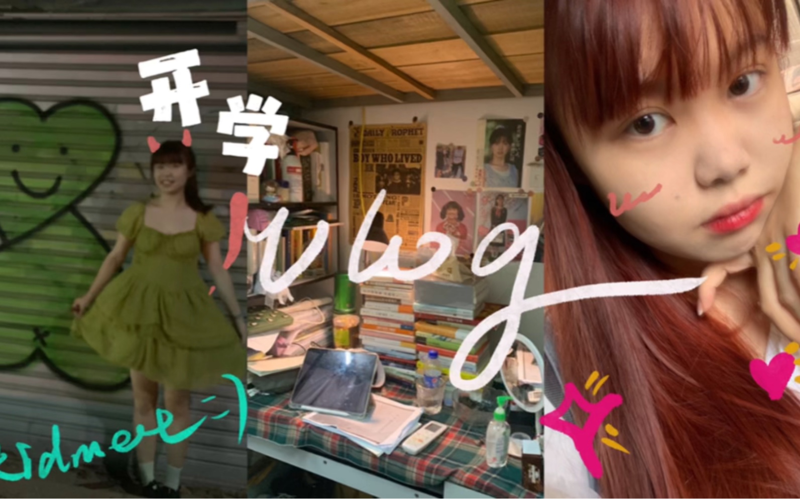 RED彭湘蕊高精力上学vlog B站