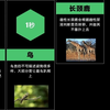 动物与人类交配的平均时间对比
