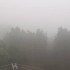 早上起来好大的雾啊