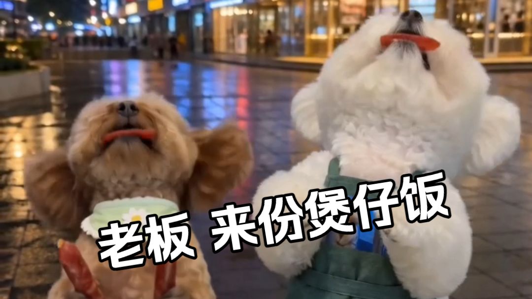 老板，来份腊味煲仔饭