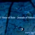 【ASMR】【水声】一小时的下雨声
