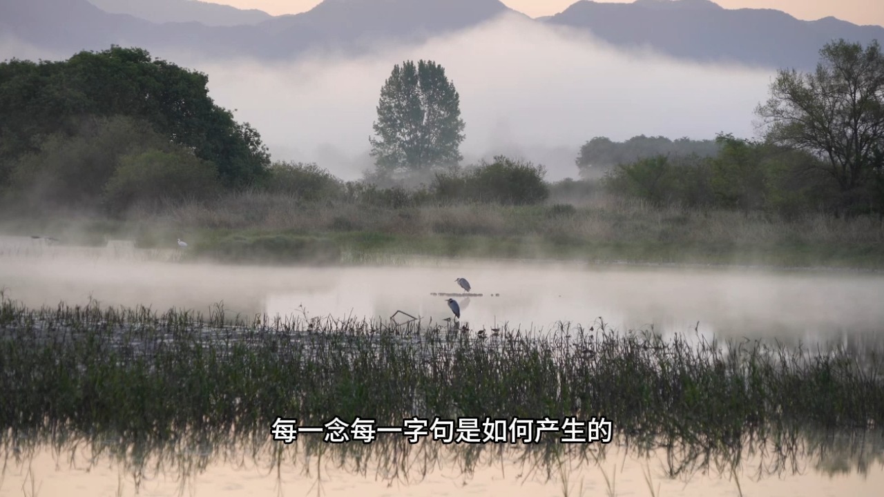 一切痛苦烦恼都是假的！是你被困在了念里把假的当真了！有念无念皆随缘，念好念坏自生灭！