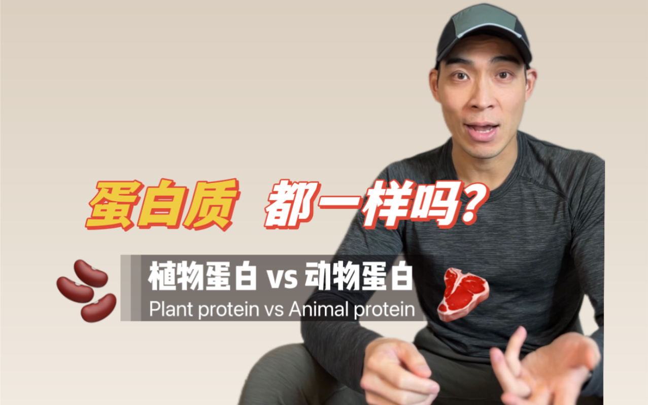 动物蛋白与植物蛋白 质量有什么区别？