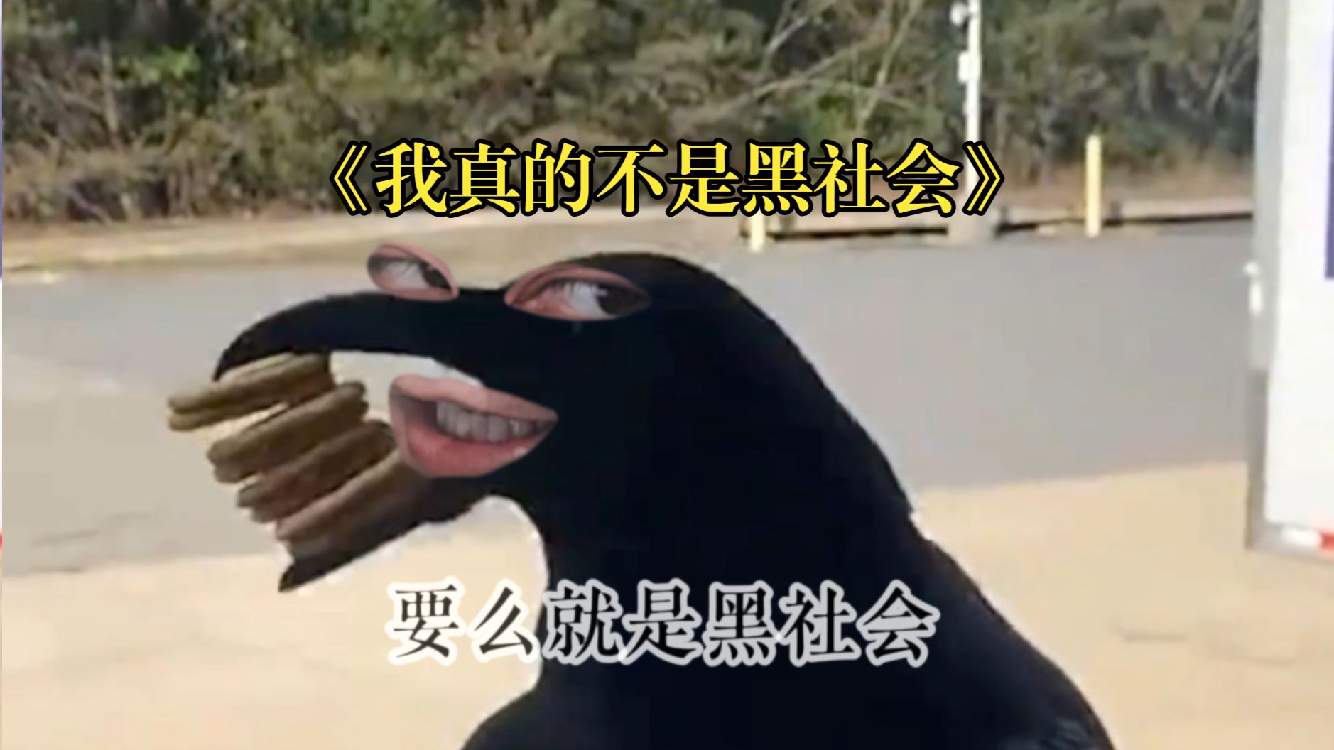 IPx的粉红豹