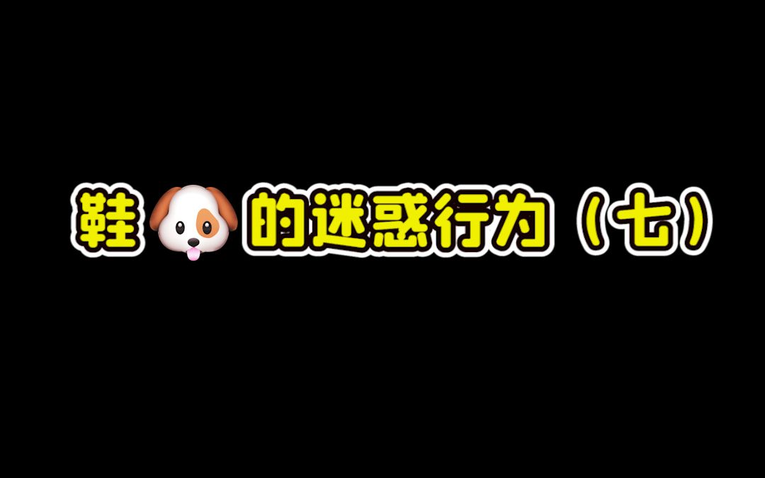 鞋dog的迷惑行为(七)哔哩哔哩bilibili