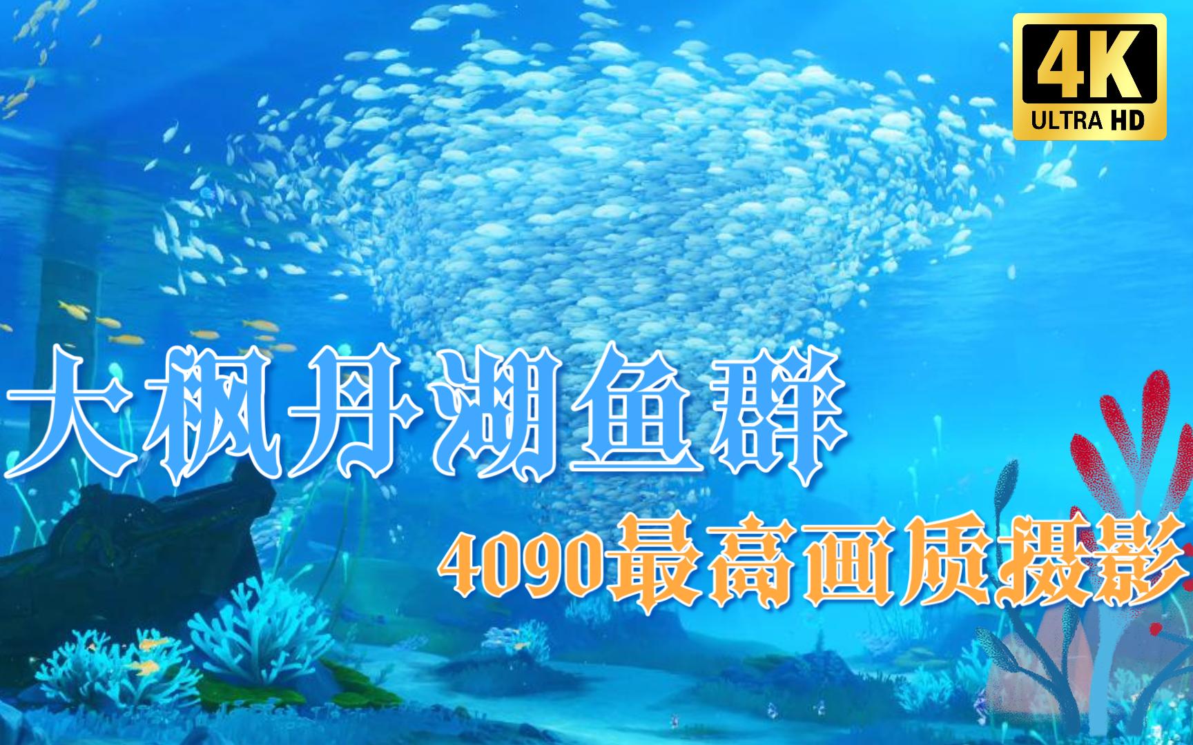 【4k】4090最高画质加持下大枫丹湖鱼群摄影，美到令人窒息