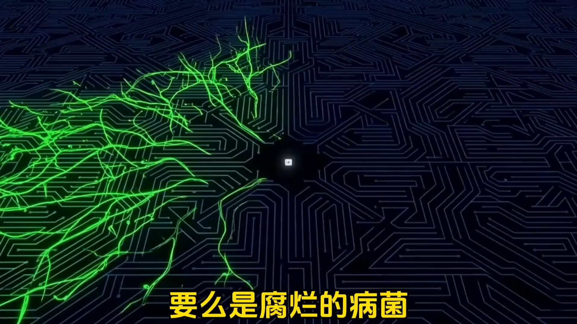 雄狮饿死不吃白捡的肉,撕开人性最贱的真相，白给的从来不是爱，是廉价的垃圾！