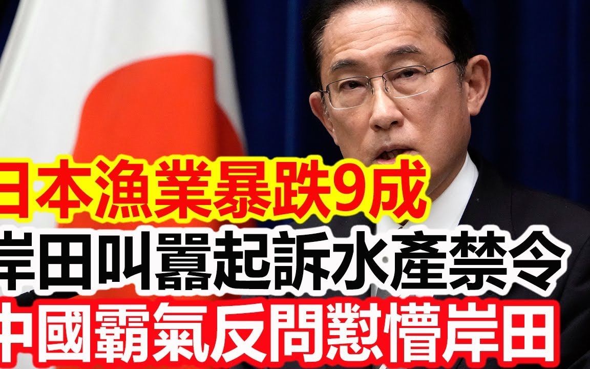 日本渔业暴跌9成,岸田叫嚣起诉中国水产禁令,中国霸气反问怼懵岸田哔哩哔哩bilibili