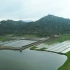 潮州梅林湖：白鹭伴春耕,自然和谐美
