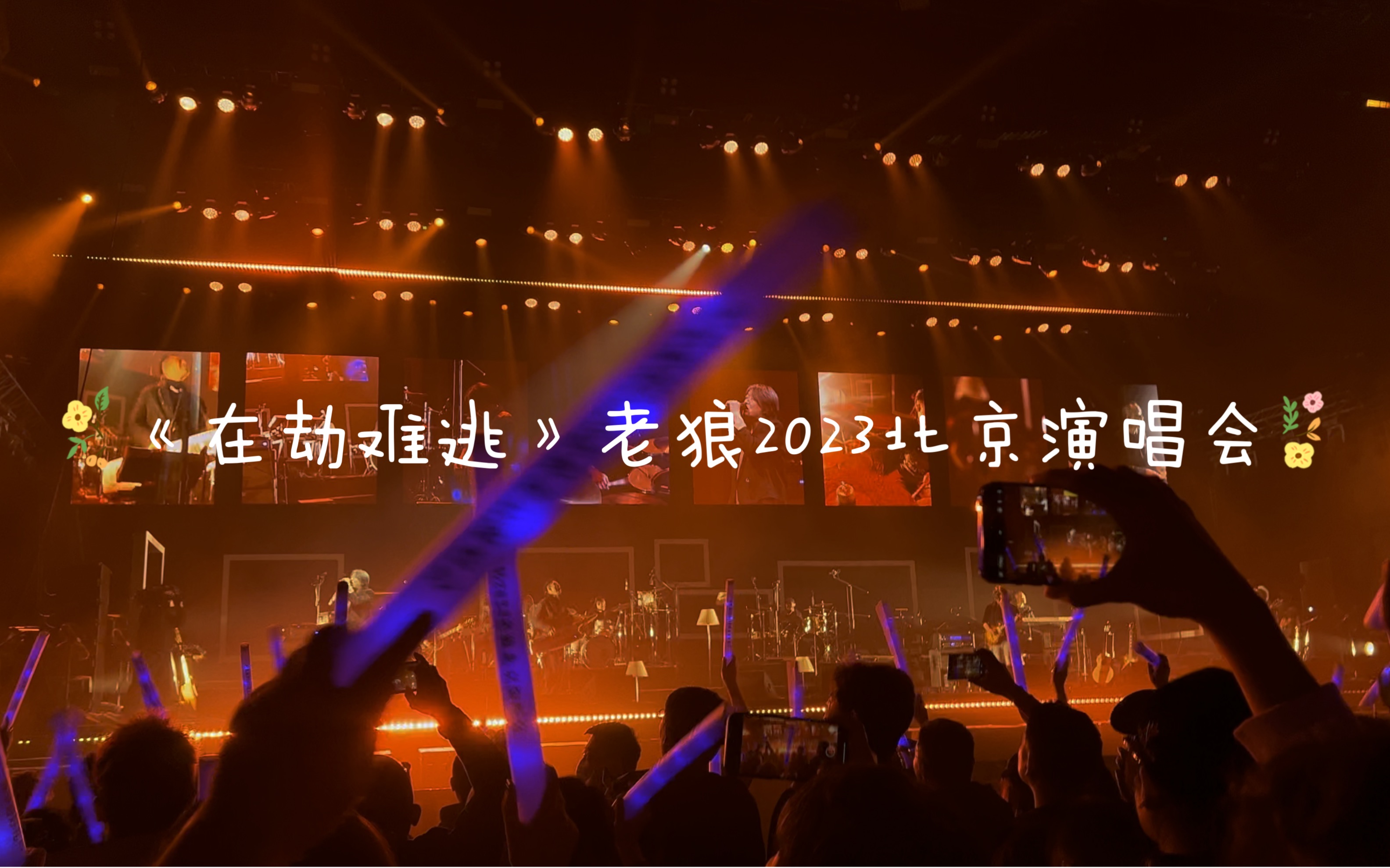 时光流转—2023老狼北京演唱会 《在劫难逃》完整版【嗨翻全场】