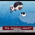 科普动画《海豚聪明吗》自添中英文字幕（如有错误欢迎指正）