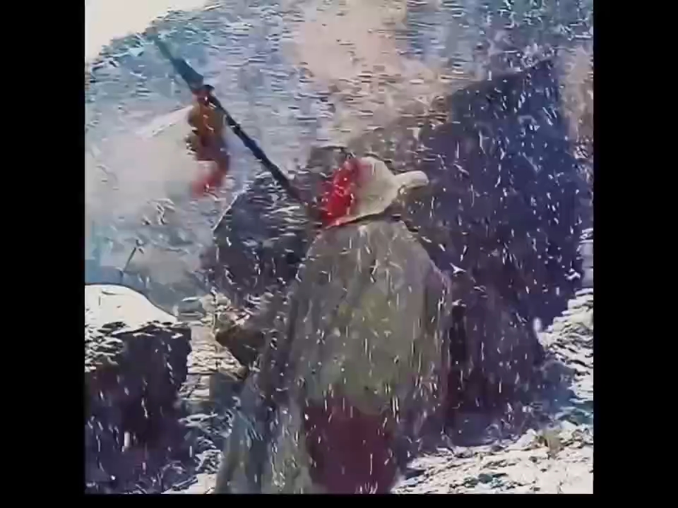 林家多是苦命人。