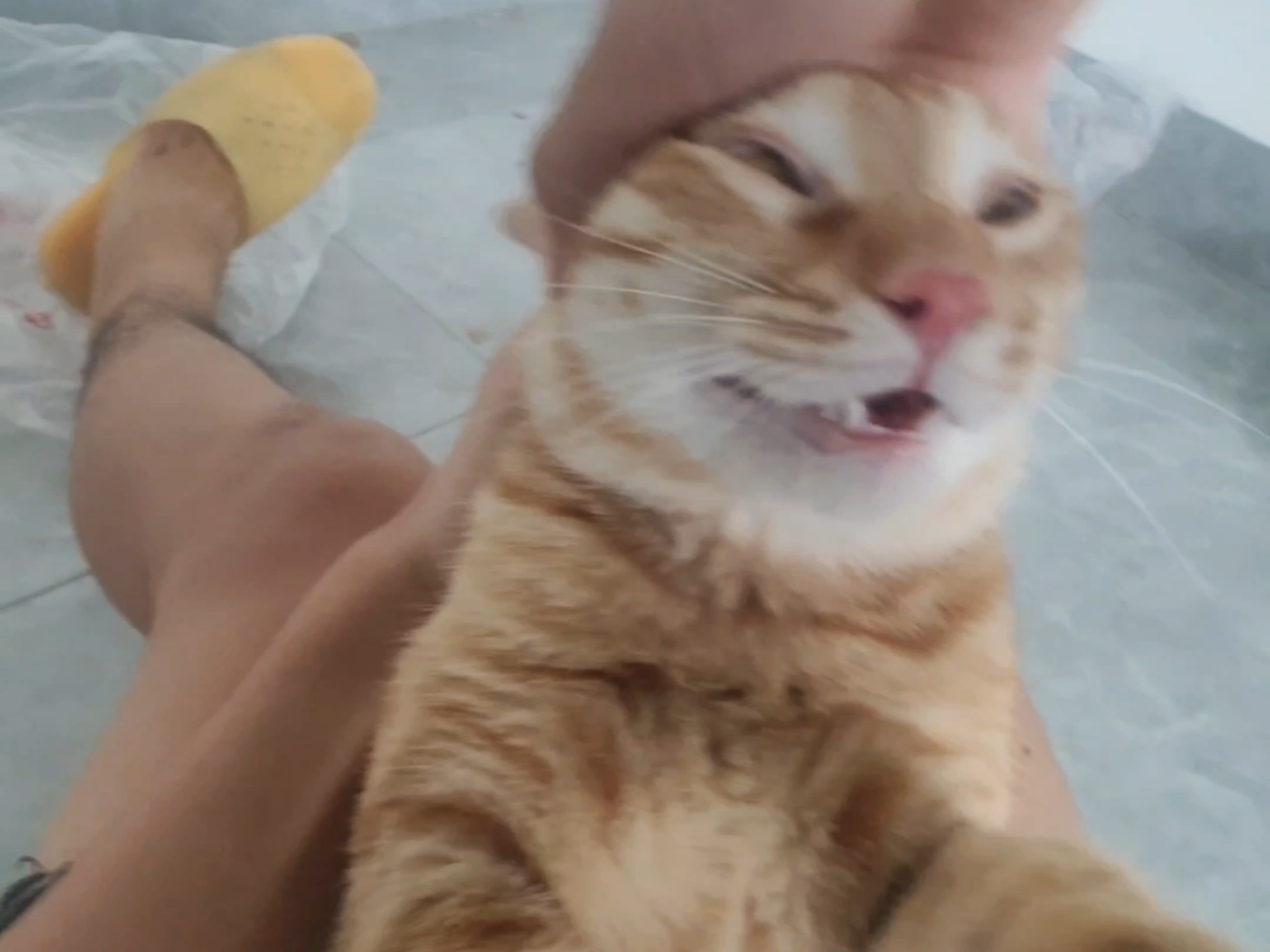 看我一个回旋