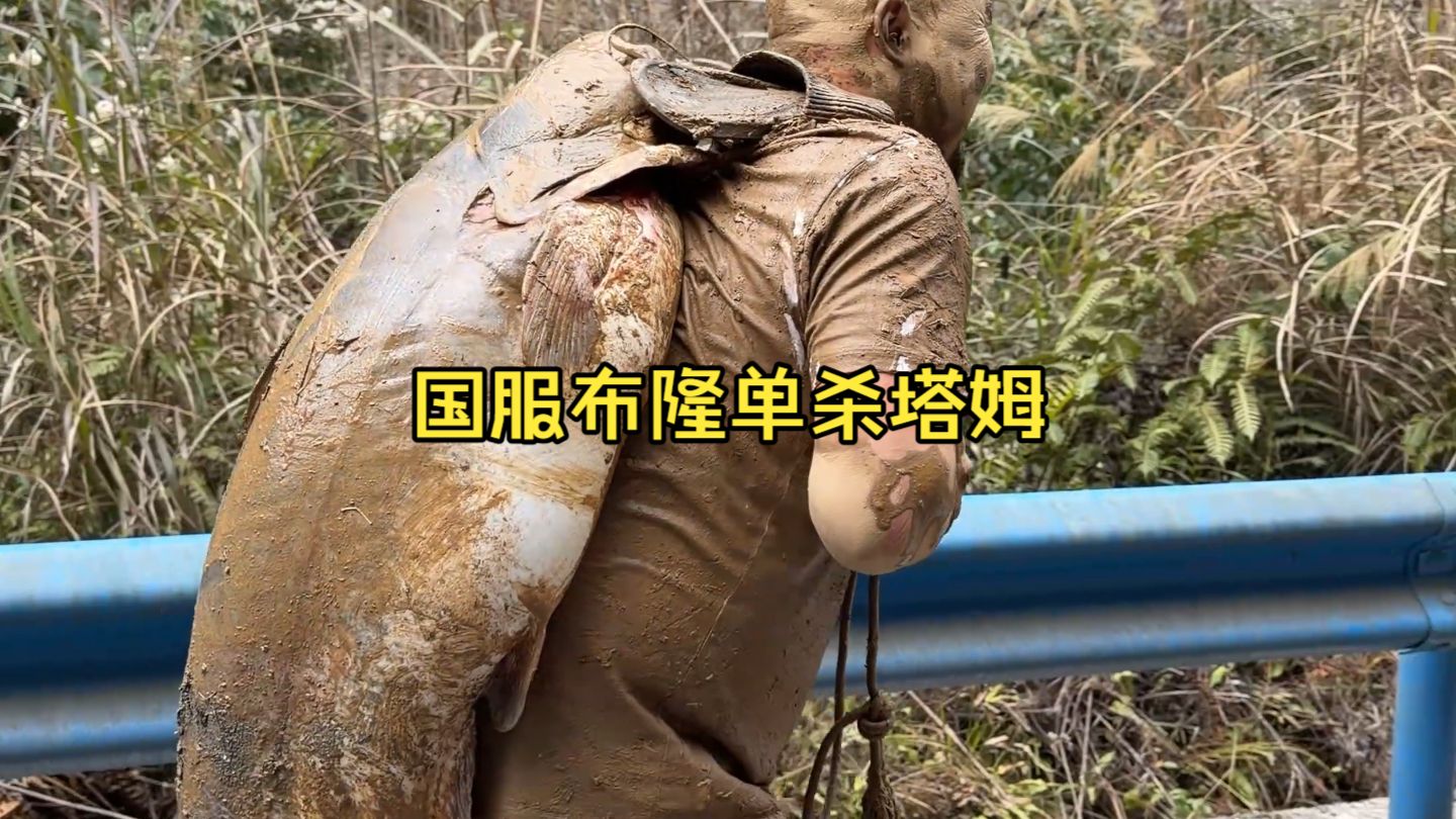 布隆出击，塔姆归西。