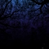 【白噪音】【学习向】【放松】夜晚在森林里徒步旅行：走路的声音, 夜晚的声音,狼嚎的声音