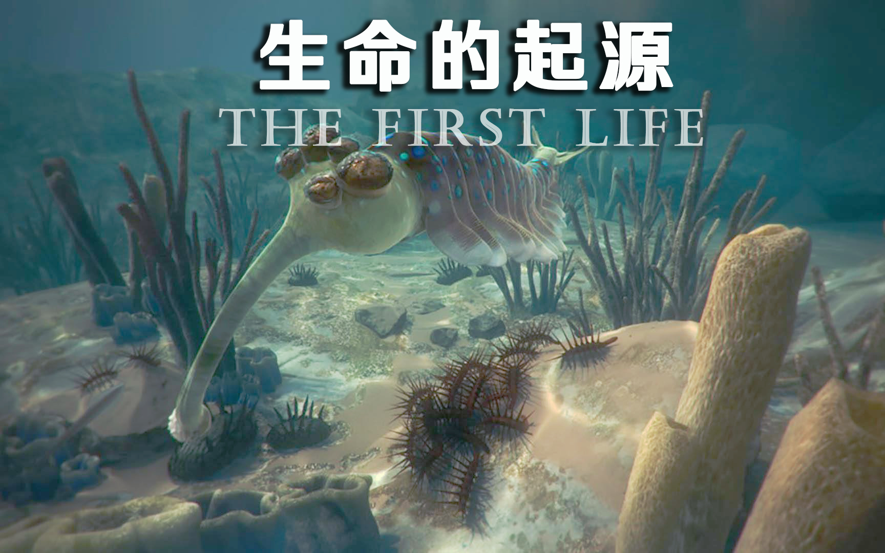 【纪录片】生命的起源-The First Life （全3集）