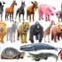 学习野生动物的名字和声音 儿童手指家庭童谣 玩具和颜色