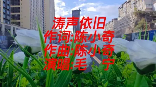 《涛声依旧》演唱:毛宁