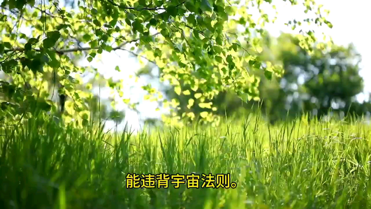 外星人给坏人的信息:你可以逃脱法律，但无法逃脱宇宙的法则，那些关系权利都没有用，如果执迷不悟，还做恶事，最终将灰飞烟灭！