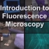 【JoVE】常用的生物学实验技术（4）荧光显微镜技术的介绍